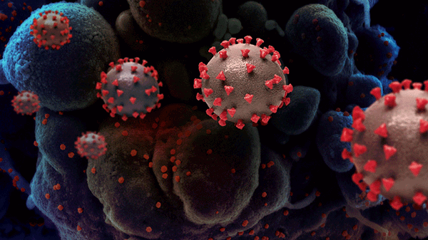 New virus strain : రాజమండ్రిలో కొత్త రకం కరోనా వైరస్ కలకలం..యూకే నుంచి వచ్చిన మహిళకు వైరస్ పాజిటివ్