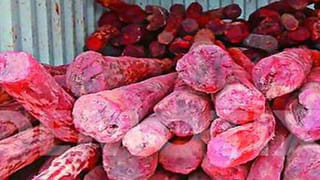 కాలేజీ ఫీజు చెల్లించలేక తనువు చాలించింది.. ఉరేసుకొని బీసీఏ విద్యార్థిని బలవన్మరణం..