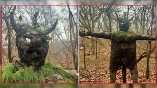 పూర్తిగా మంచుతో నిండిపోయి కనువిందు చేస్తున్న హిమాలయాలు.. ఫోటో విడుదల చేసిన నాసా.. సోషల్ మీడియాలో వైరల్..