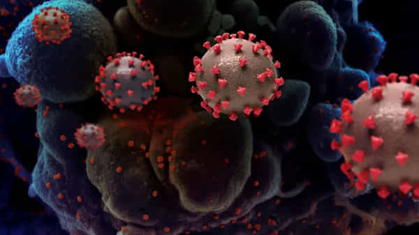 Strain Virus: యూకే నుంచి విశాఖకు 211 మంది.. 167 మంది గుర్తింపు... వివరాలు ఆరా తీస్తున్న అధికారులు...