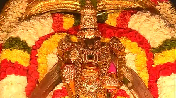 బాలాలయ సంప్రోక్షణము: తిరుమల తిరుమాడ వీధులలో ఊరేగి భక్తులను కటాక్షించిన శ్రీ వరాహస్వామివారు