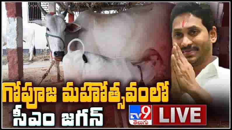 CM Jagan LIVE:నేడు నర్సరావు పేటకు ముఖ్యమంత్రి జగన్‌ మోహన్‌ రెడ్డి.. కనుమ పండుగ పురస్కరించుకొని తలపెట్టిన..