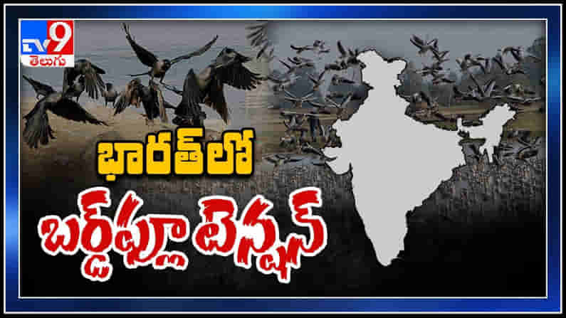 Bird Flu: పక్షుల అనారోగ్యంపై అప్రమత్తంగా ఉండాలంటున్న అటవీ పర్యావరణ శాఖ అధికారులు .. లేదంటే తీవ్ర పరిణామాలు..