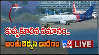 Ramateertham Issue: రామతీర్థం విగ్రహ ధ్వంసం ఎవరి పని ?…అదుపులోకి టీడీపీ నేతలు.