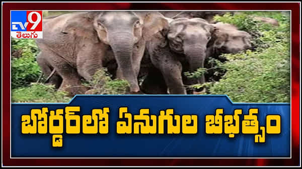 Andhra-Tamil Nadu border : ఆంధ్ర - తమిళనాడు బోర్డుర్ లో ఏనుగుల బీభత్సం.