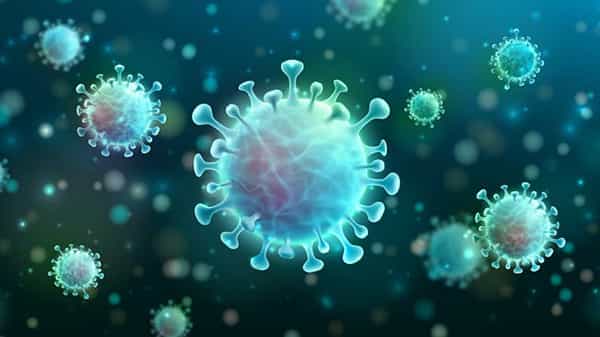 Coronavirus Scare In Chittoor: ప్రైవేటు స్కూల్లో కరోనా కలకలం.. ఇద్దరు విద్యార్థులకు పాజిటివ్..!