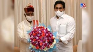 AP CM Jagan Meets  Bandaru Dattatreya: బండారు దత్తాత్రేయను కలిసిన సీఎం వైఎస్‌ జగన్‌