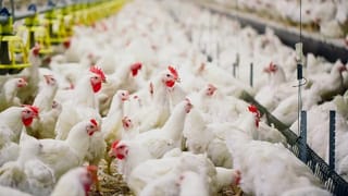 Earthquake in Prakasam Dist : అర్థరాత్రి వేళ ప్రకాశం జిల్లా బల్లికురవ మండలంలో భూ ప్రకంపనలు,  వీధుల్లో జాగారం చేసిన ప్రజలు