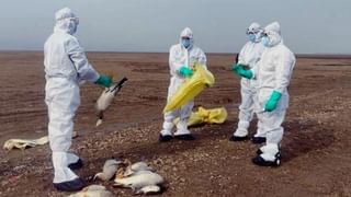 Bitcoin Price : రాకెట్‌లా దూసుకుపోతున్న బిట్ కాయిన్.. 1.46 లక్షల డాలర్లకు చేరుకునే ఛాన్స్..