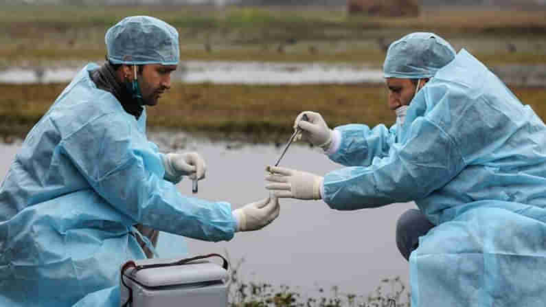 Bird Flu Alert: మరిన్ని రాష్ట్రాలకు పాకిన బర్డ్‌ ఫ్లూ.. పౌల్ట్రీ దిగుమతులను నిషేధించిన జమ్ముకశ్మీర్‌..