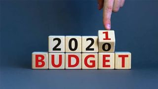 Common Man Budget News 2021: సెక్షన్ 80సి పై ఎన్ని ఆశలో.. సామాన్యులకు కేంద్రం ఊరటనిచ్చేనా?