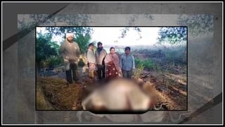 Bigg Boss Telugu 4 Akhil Sarthak : అఖిల్‌‌‌కు అదిరిపోయే గిఫ్ట్ ఇచ్చిన అభిమాని.. సోషల్ మీడియాలో వీడియో వైరల్..