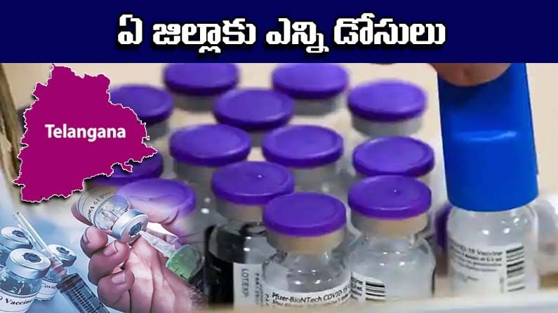 Telangana Corona Vaccine: తెలంగాణలో ఆయా జిల్లాకు చేరిన కరోనా వ్యాక్సిన్లు.. ఏ జిల్లాకు ఎన్ని డోసులంటే..