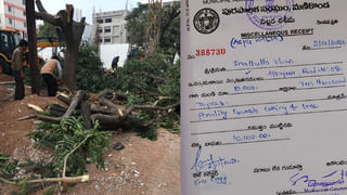 Leopard: నిర్మల్ జిల్లాలో చిరుతపులి సంచారం.. ఆవు దూడపై దాడి.. భయాందోళనలో ప్రజలు..