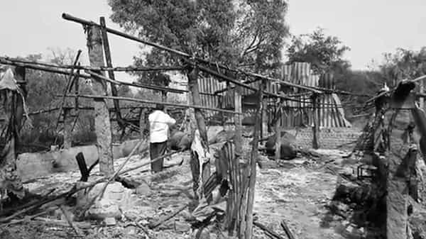 Fire Accident: శంషాబాద్లో విషాదం.. గేదెల కొట్టానికి నిప్పు పెట్టిన దుండగులు.. ఆరు గేదెలు సజీవ దహనం..