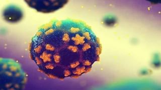 Coronavirus Lockdown: తెలంగాణకు ఆనుకుని ఉన్న ఆ జిల్లాలో కఠిన లాక్‌డౌన్.. ప్రజా రవాణా బంద్..