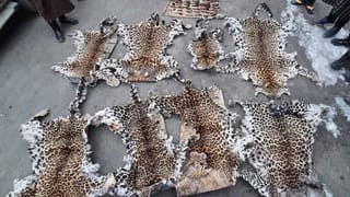 Honour killing: ప్రేమ జంటపై పాశవికంగా దాడి.. హత్య చేసి.. ఆపై చెట్టుకు వేలాడదీసిన బాలిక బంధువులు