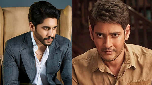 Akkineni Hero As Mahesh Fan: మహేష్ బాబు అభిమాన సంఘం అధ్యక్షుడిగా అక్కినేని నాగచైతన్య..