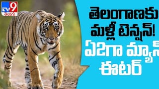 Budget 2021: సీతమ్మ వారి చిట్టా..! :   ప్రభుత్వం ముందు ఎన్నో సవాళ్లు, కోవిడ్ తెచ్చిన కష్టాలు తీరేనా ?