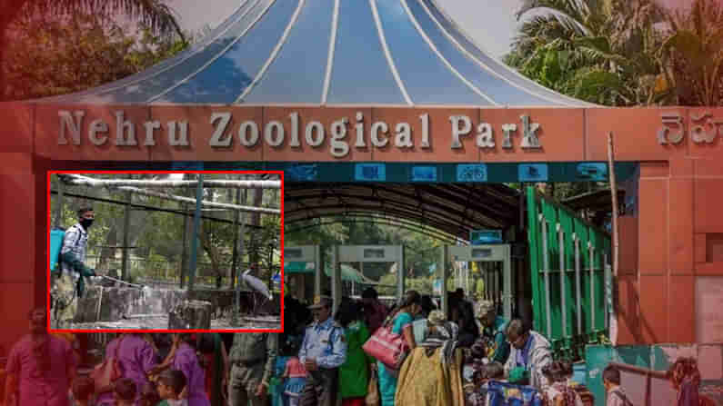 బర్డ్ ఫ్లూ నేపథ్యంలో అప్రమత్తమైన హైదరాబాద్ జూ పార్క్ అధికారులు.. పక్షుల సంరక్షణకు ప్రత్యేక రాపిడ్ యాక్షన్ ఫోర్స్