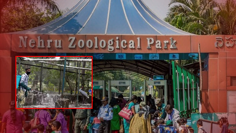 బర్డ్ ఫ్లూ నేపథ్యంలో అప్రమత్తమైన హైదరాబాద్ జూ పార్క్ అధికారులు..  పక్షుల సంరక్షణకు ప్రత్యేక రాపిడ్ యాక్షన్ ఫోర్స్