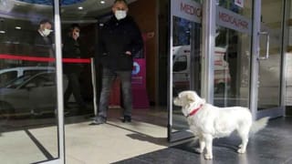 Benefits of Bottle Gourd Juice: యూరినరీ ఇన్ఫెక్షన్స్‌కి ఎఫెక్టివ్‌గా పని చేసే సొరకాయ జ్యూస్ ..