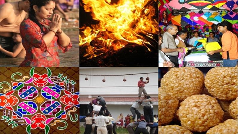 Makar Sankranti:పుడమి పుస్తకంలో ప్రకృతి రాసుకున్న మధురమైన కవిత, గీసుకున్న అద్భుతమైన చిత్రిక సంక్రాంతి పండుగ