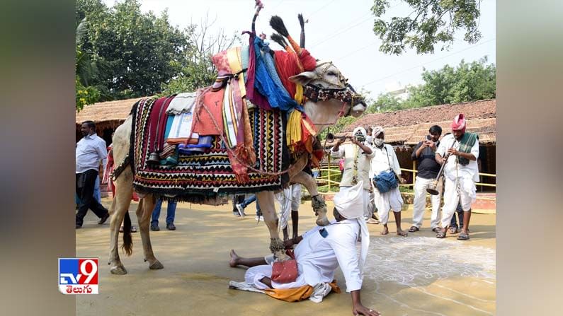 Sankranti Celebrations: డూడూ బసవన్నల నృత్యాలు, హరిదాసుల సంకీర్తనలతో శిల్పారామం సందడిగా మారింది