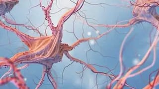 K Sasikala : చిన్నమ్మ విడుదలకు గ్రీన్ సిగ్నల్.. తమిళనాడు రాజకీయాల్లో పెరిగిన పొలిటికల్ హీట్