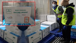 ఆలయాలను ధ్వంసం చేస్తే ఊరుకునేది లేదు.. కుల, మతాలకు అతీతంగా చర్యలు తీసుకుంటామన్న డీజీపీ..