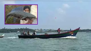 RGV D-Company Teaser: దావూద్ ఇబ్రహీం చిన్న గ్యాంగ్ లీడర్ నుంచి పెద్ద గ్యాంగ్‌స్టర్‌గా ఎలా ఎదిగాడు…