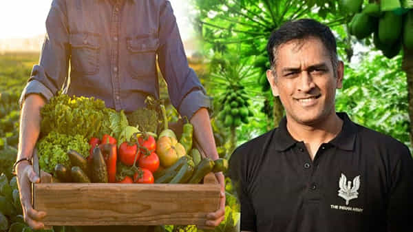 MS Dhonis farm vegetables : రాంచీ టు దుబాయ్.. ధోనీ వ్యవసాయ క్షేత్రంలోని కూరగాయలకు ఫుల్ డిమాండ్..