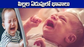 Health News: మీ వంటింట్లో ఉండే పదార్థాలతో జలుబు, దగ్గు, గొంతునొప్పి సమస్యలను తగ్గించుకోండిలా… అవేంటంటే..