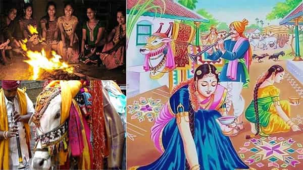 Importance of Bhogi Festival : భోగి మంటలెందుకు?.. భోగి పళ్ళ వేడుకల వెనుక ఉద్దేశ్యమేంటి?.. మన సంప్రదాాయాల వెనుక అంతరార్ధం ఇదే..