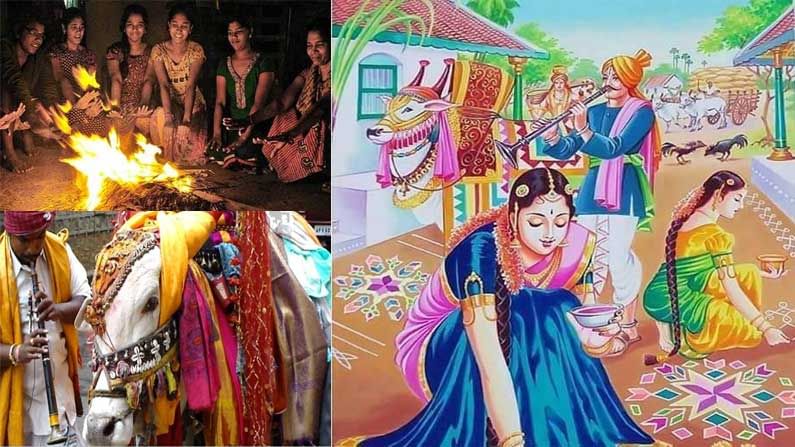 Importance of Bhogi Festival : భోగి మంటలెందుకు?.. భోగి పళ్ళ వేడుకల వెనుక ఉద్దేశ్యమేంటి?.. మన సంప్రదాాయాల వెనుక అంతరార్ధం ఇదే..