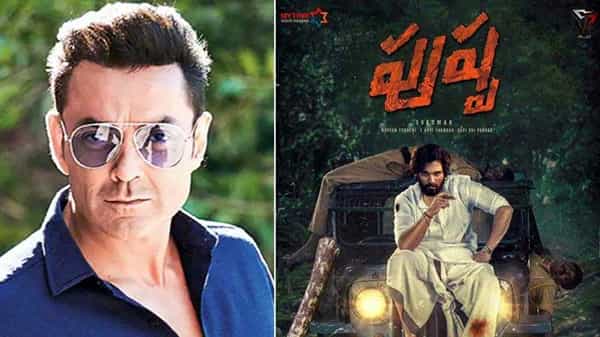 Pushpa movie update: అల్లు అర్జున్కు విలన్గా నటించనున్న బాలీవుడ్ స్టార్.. ఈసారైన కన్ఫామ్ చేస్తారా ?