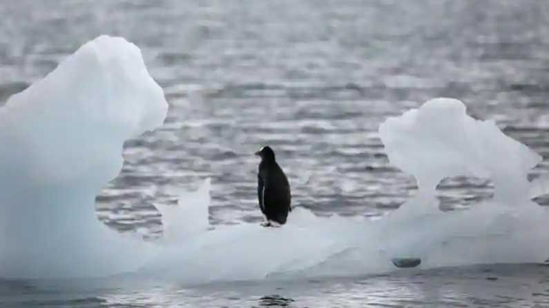 Earth Lost Tons of Ice: గత 30 ఏళ్ల కంటే వేగంగా కరుగుతున్న మంచు.. మానవాళికి ప్రకృతి సరికొత్త హెచ్చరికను జారీ చేసిందా..!