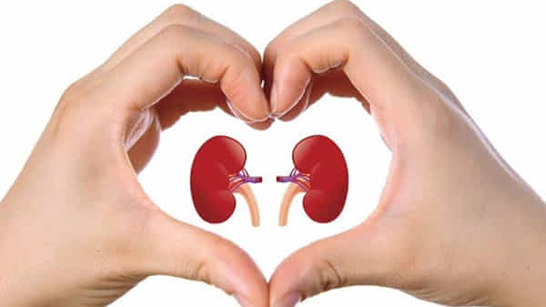 Health News: రోజూ వీటిని తినడం వలన కిడ్నీలో రాళ్ళ సమస్యను తగ్గించుకోవచ్చు.. అవెంటంటే ?
