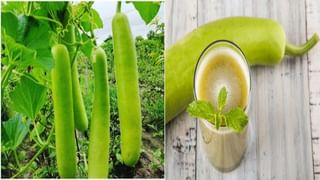 Culture And Language: మోడీకి త‌మిళ ప్ర‌జ‌ల‌పైన‌, భాష‌పైన ఏ మాత్రం గౌర‌వం లేదు… కాంగ్రెస్ యువ‌రాజు రాహుల్ గాంధీ…