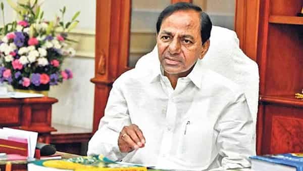 మహిళల ఆర్థిక స్వావలంభనకు మరో కొత్త పథకం.. జీహెచ్ఎంసీలో త్వరలో రోడ్డెక్కనున్న చేపల వంటకాలు