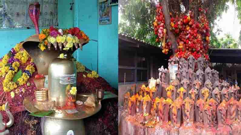 Subrahmanyeswara Temple In Mopidevi: దేవసేనుడే స్వయంగా పాముగా తపస్సు చేసిన ప్రాంతం, సర్పదోష నివారణకు మహిమానిత్వ క్షేత్రం