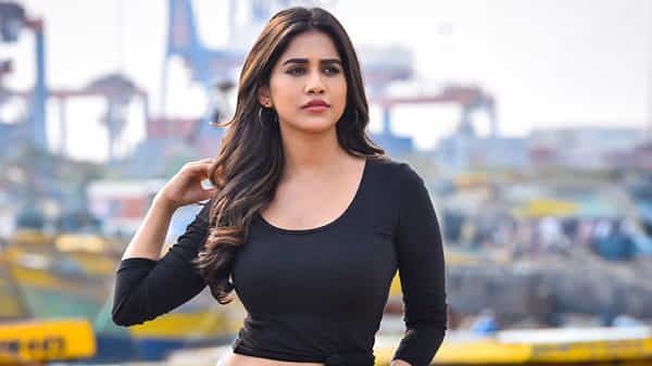 Nabha Natesh : ఈ ఇస్మార్ట్ బ్యూటీకి సౌత్ ఇండియన్ మాస్ సినిమాలంటే చాలా ఇష్టమట..!