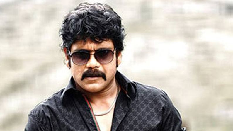 Nagarjuna Next Movie: నాగార్జున నెక్స్ట్ మూవీ ఎవరితో తెలుసా? స్క్రిప్ట్ గురించి యంగ్ డైరెక్టర్‌కి ఏం చెప్పారంటే..