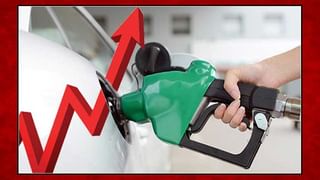 గబ్బర్ చేసిన పనికి పడవ నడిపిన వ్యక్తిపై జిల్లా అధికారుల చర్యలు.. ఆంక్షలు అతిక్రమించాడంటూ వార్నింగ్ నోటీస్