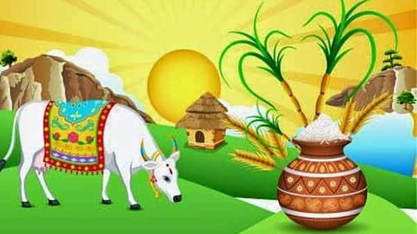 Sankranthi Festival: సంక్రాంతి పండుగ రోజు ఈ పనులు అసలు చెయ్యొద్దంటా.. ఎందుకో తెలుసా ?