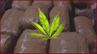 ప్రపంచవ్యాప్తంగా కరోనా స్వైరవిహారం.. గడిచిన 24 గంటల్లో 7,86,764 పాజిటివ్ కేసులు, 14,581 మరణాలు..