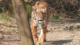 భారత ప్రజాస్వామ్య వైభవం ప్రతిభింబించేలా రాజ్యాంగ మందిరం.. ఇవాళ్టి నుంచి భవన నిర్మాణం పనులు షురూ