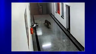 AP CS Adityanath Das PC: ఏపీలో రాష్ట్ర, జిల్లాస్థాయి మత సామరస్య కమిటీలు.. ఉత్తర్వులు జారీ చేసిన సీఎస్ ఆదిత్యనాథ్‌ దాస్‌