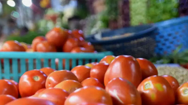Tomato price fall: రైతు నోట మాట రావ‌డం లేదు... భారీగా ప‌డిపోయిన ధ‌ర‌.. కిలో రేటు రెండు రూపాయ‌లే...