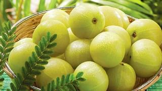 Health Benefits Of Amla and Honey : తేనే , ఉసిరి కలిపిన మిశ్రమాన్ని రోజు తీసుకుంటే కలిగే ఆరోగ్య ఫలితాలు ఏమిటో తెలుసా..?